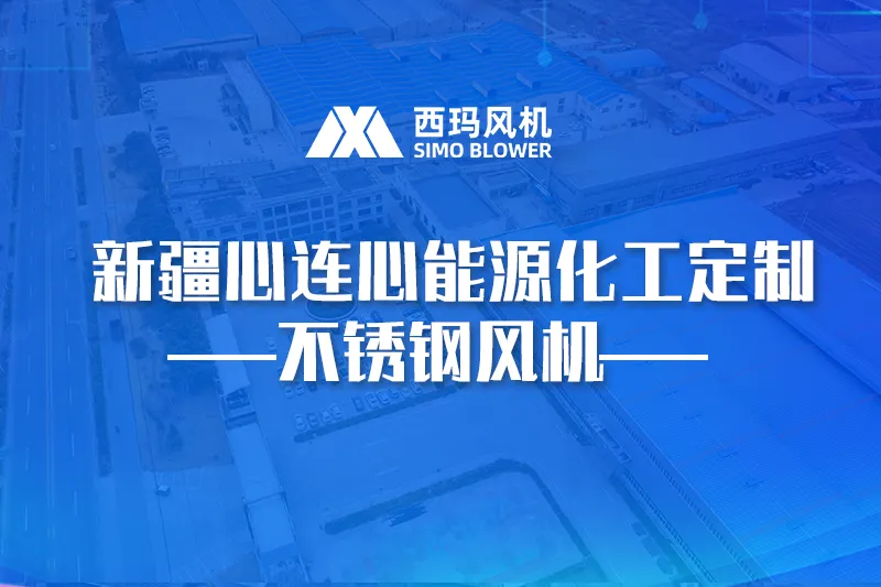 新疆心连心能源化工定制 -不锈钢风机-
