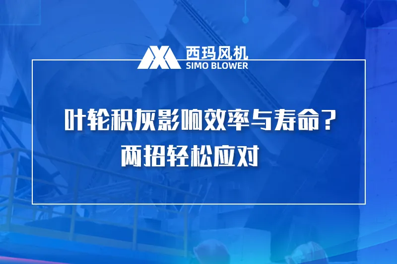 除尘风机叶轮积灰影响效率与寿命？